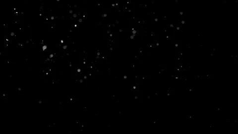 Natural Organic Dust Particles Float On Black Background. Dust In Motion. Stock Footage 301260864