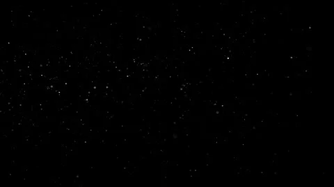 Natural Organic Dust Particles Float On Black Background. Dust In Motion. Vidéo 301260920