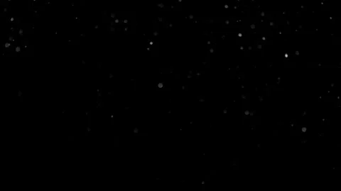 Natural Organic Dust Particles Float On Black Background. Dust In Motion. 库存影片 301260935