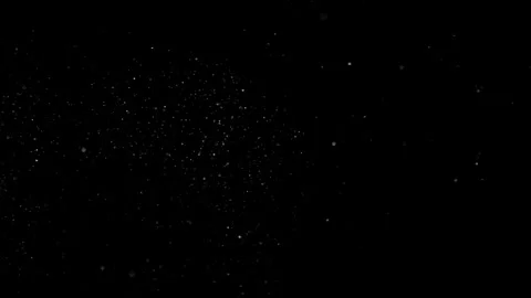 Natural Organic Dust Particles Float On Black Background. Dust In Motion. 库存影片 301260959