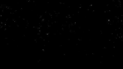 Natural Organic Dust Particles Float On Black Background. Dust In Motion. Stock Footage 301261042