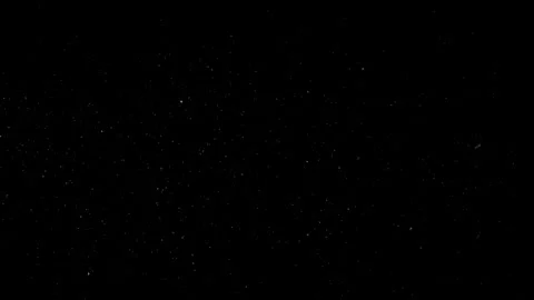 Natural Organic Dust Particles Float On Black Background. Dust In Motion. Vidéo 301261073