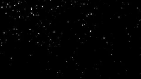 Natural Organic Dust Particles Float On Black Background. Dust In Motion. Stock Footage 301261076