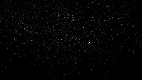 Natural Organic Dust Particles Float On Black Background. Dust In Motion. Stock Footage 301261090