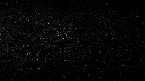 Natural Organic Dust Particles Float On Black Background. Dust In Motion. 库存影片 301261091
