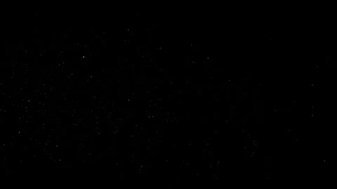 Natural Organic Dust Particles Float On Black Background. Dust In Motion. 库存影片 301261130