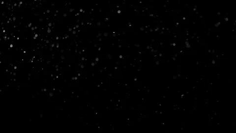 Natural Organic Dust Particles Float On Black Background. Dust In Motion. Vidéo 301261161