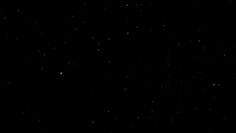 Natural Organic Dust Particles Float On Black Background. Dust In Motion. Vidéo 301490725