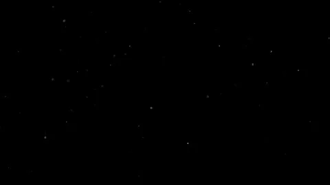 Natural Organic Dust Particles Float On Black Background. Dust In Motion. Stock Footage 301490735