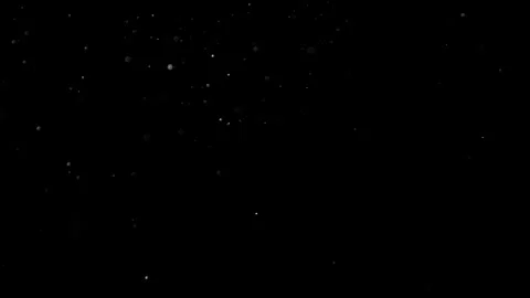 Natural Organic Dust Particles Float On Black Background. Dust In Motion. Stock Footage 301490844