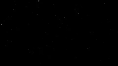 Natural Organic Dust Particles Float On Black Background. Dust In Motion. Stock-Footage 301490890