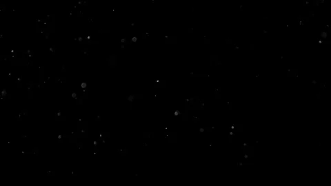 Natural Organic Dust Particles Float On Black Background. Dust In Motion. 库存影片 301490896