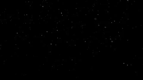 Natural Organic Dust Particles Float On Black Background. Dust In Motion. Stock Footage 301490897