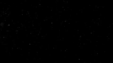 Natural Organic Dust Particles Float On Black Background. Dust In Motion. Stock Footage 301490973
