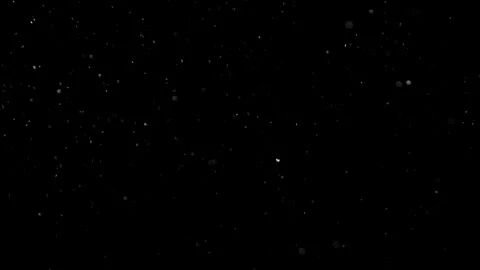 Natural Organic Dust Particles Float On Black Background. Dust In Motion. Vidéo 301491054