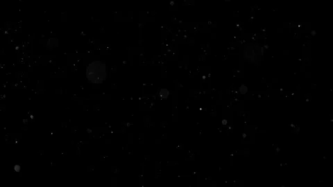 Natural Organic Dust Particles Float On Black Background. Dust In Motion. Vidéo 301491065