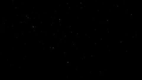 Natural Organic Dust Particles Float On Black Background. Dust In Motion. Stock Footage 301491092