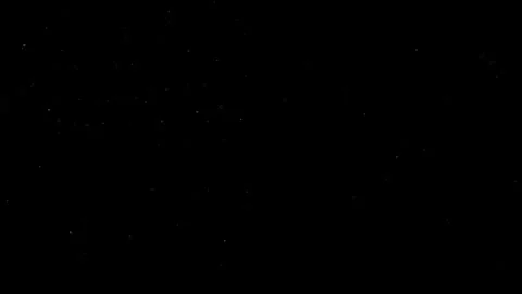 Natural Organic Dust Particles Float On Black Background. Dust In Motion. Stock Footage 301491113