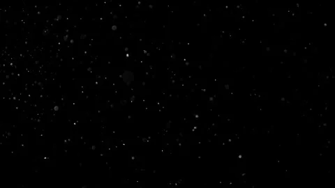 Natural Organic Dust Particles Float On Black Background. Dust In Motion. Stock Footage 301491115
