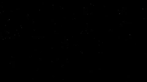 Natural Organic Dust Particles Float On Black Background. Dust In Motion. Vidéo 301491180