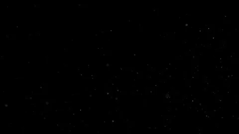 Natural Organic Dust Particles Float On Black Background. Dust In Motion. Vidéo 301491188