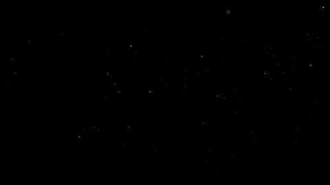 Natural Organic Dust Particles Float On Black Background. Dust In Motion. Stock Footage 301491199