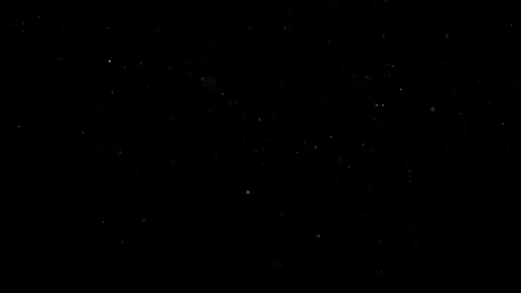 Natural Organic Dust Particles Float On Black Background. Dust In Motion. Stock Footage 301491234