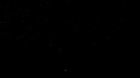 Natural Organic Dust Particles Float On Black Background. Dust In Motion. Stock Footage 301491258