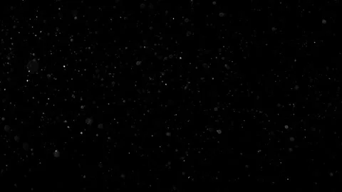 Natural Organic Dust Particles Float On Black Background. Dust In Motion. Stock Footage 301491271