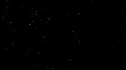 Natural Organic Dust Particles Float On Black Background. Dust In Motion. Stock Footage 301491306