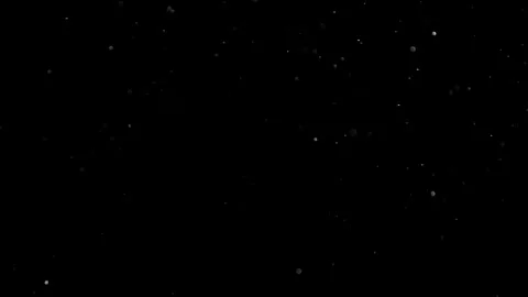 Natural Organic Dust Particles Float On Black Background. Dust In Motion. Stock Footage 301491326