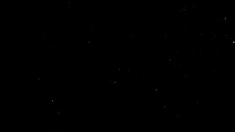 Natural Organic Dust Particles Float On Black Background. Dust In Motion. 库存影片 301491347