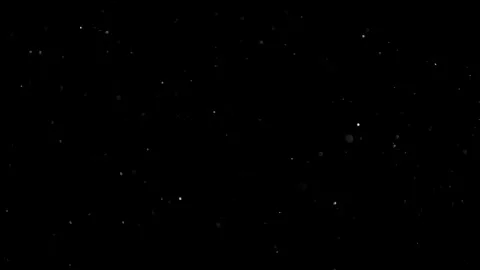 Natural Organic Dust Particles Float On Black Background. Dust In Motion. Stock Footage 301491356