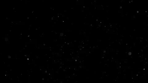 Natural Organic Dust Particles Float On Black Background. Dust In Motion. 库存影片 301491357