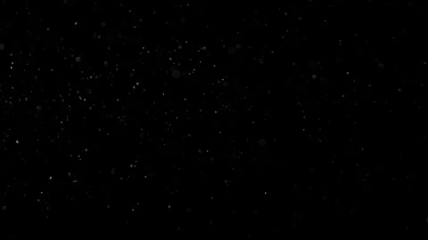 Natural Organic Dust Particles Float On Black Background. Dust In Motion. 库存影片 301491373
