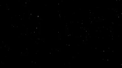 Natural Organic Dust Particles Float On Black Background. Dust In Motion. Stock Footage 301491396