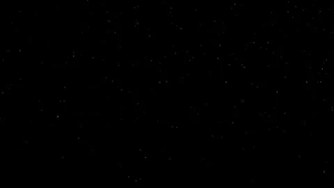 Natural Organic Dust Particles Float On Black Background. Dust In Motion. Vidéo 301491483