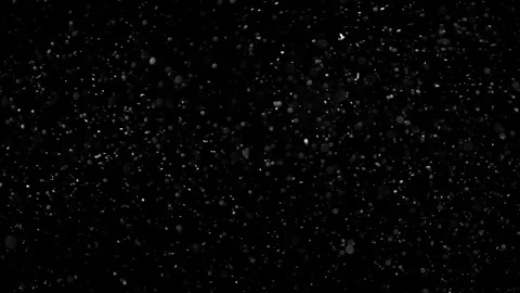 Natural Organic Dust Particles Float On Black Background. Dust In Motion. Vidéo 301491614