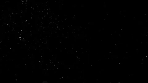 Natural Organic Dust Particles Float On Black Background. Dust In Motion. Stock Footage 301491710