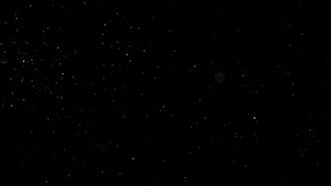 Natural Organic Dust Particles Float On Black Background. Dust In Motion. 库存影片 301583765