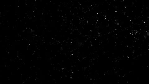 Natural Organic Dust Particles Float On Black Background. Dust In Motion. 库存影片 301583790