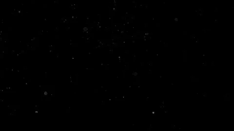 Natural Organic Dust Particles Float On Black Background. Dust In Motion. 库存影片 301583800