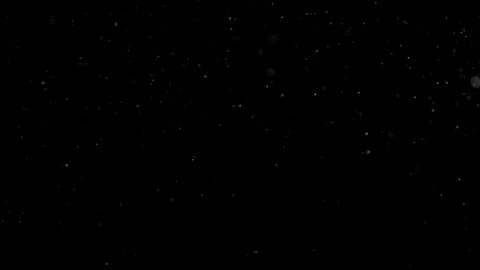 Natural Organic Dust Particles Float On Black Background. Dust In Motion. 库存影片 301583816