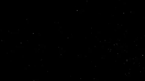 Natural Organic Dust Particles Float On Black Background. Dust In Motion. 库存影片 301583863