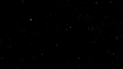 Natural Organic Dust Particles Float On Black Background. Dust In Motion. 库存影片 301583876