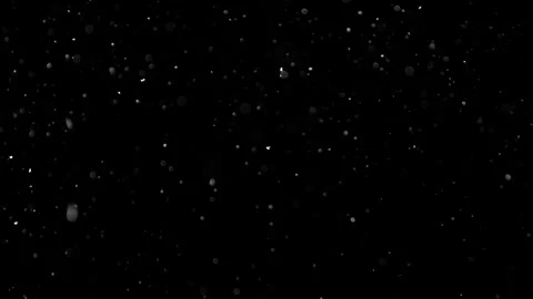 Natural Organic Dust Particles Float On Black Background. Dust In Motion. 库存影片 301583879