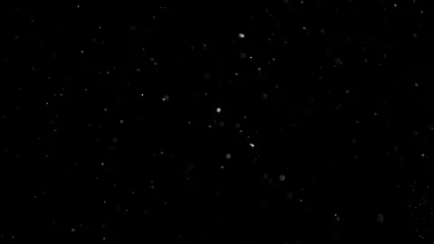 Natural Organic Dust Particles Float On Black Background. Dust In Motion. 库存影片 301583908