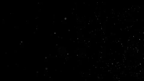 Natural Organic Dust Particles Float On Black Background. Dust In Motion. 库存影片 301583917