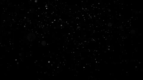 Natural Organic Dust Particles Float On Black Background. Dust In Motion. 库存影片 301583931