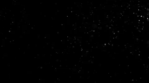 Natural Organic Dust Particles Float On Black Background. Dust In Motion. 库存影片 301583955